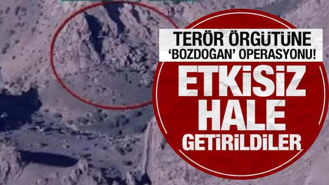 Terör örgütüne 'bozdoğan' operasyonu! Etkisiz hale getirildiler