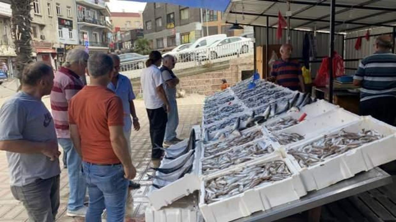 Tezgahlar hamsiyle doldu, vatandaşlar ilgi gösterdi