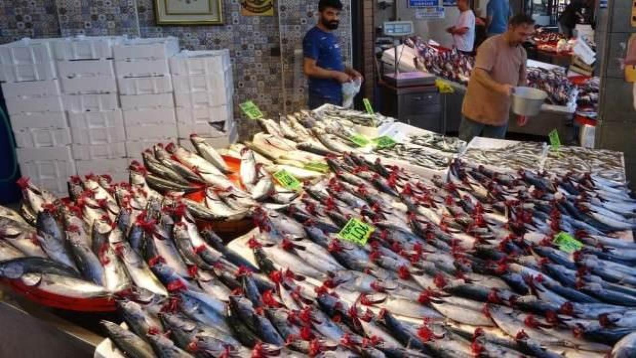 Tezgahlar palamut ile doldu taştı