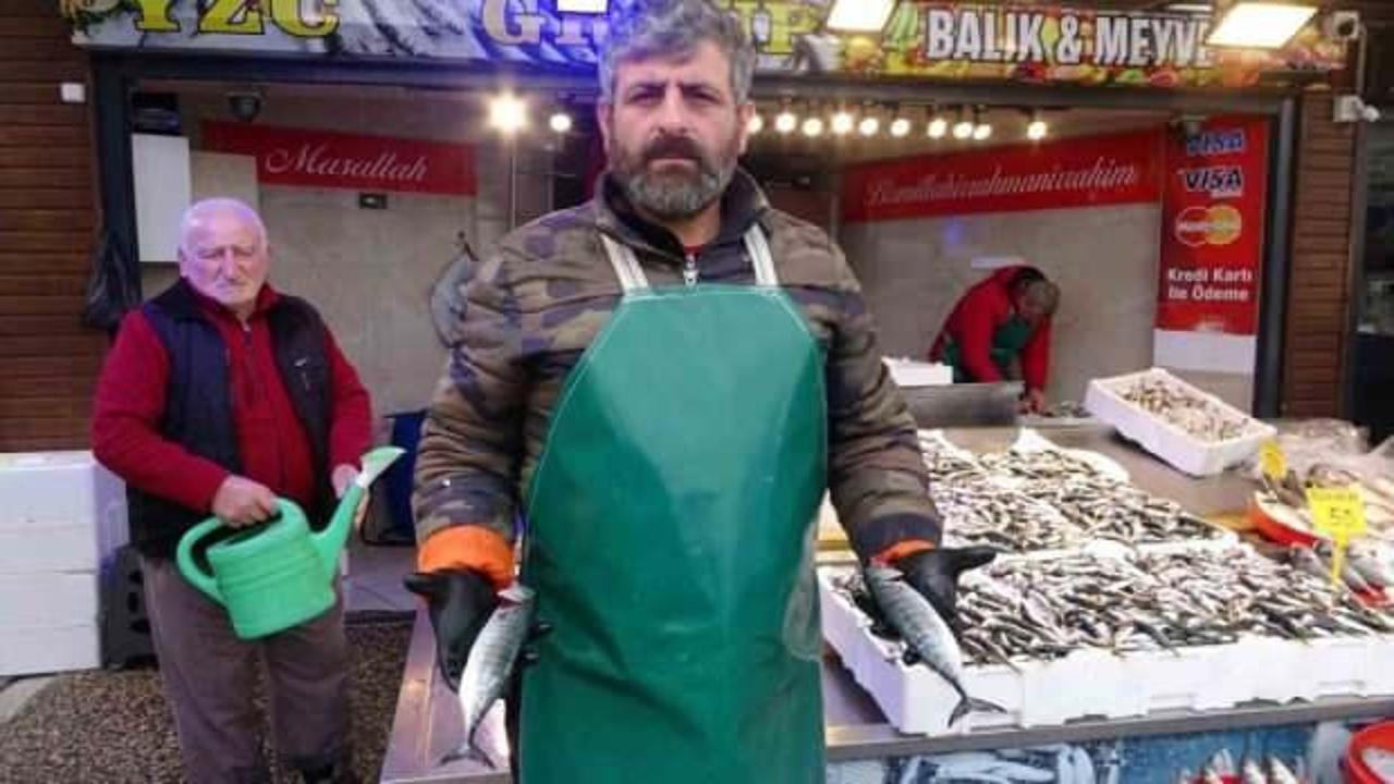 Tezgahlarda hamsinin yerini istavrit almaya başladı