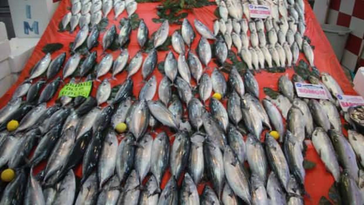 Tezgahlarda palamut bereketi!