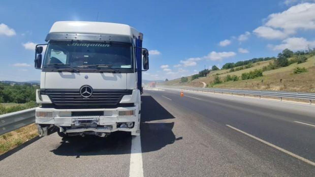 Tır sürücüsünü arı soktu, facianın eşiğinden dönüldü
