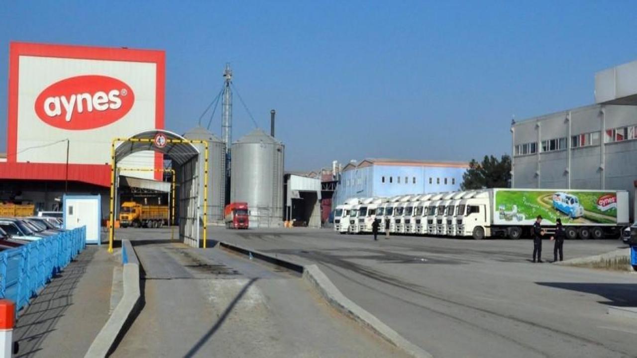 TMSF iflastan kurtardığı Aynes Gıda’yı satışa çıkardı