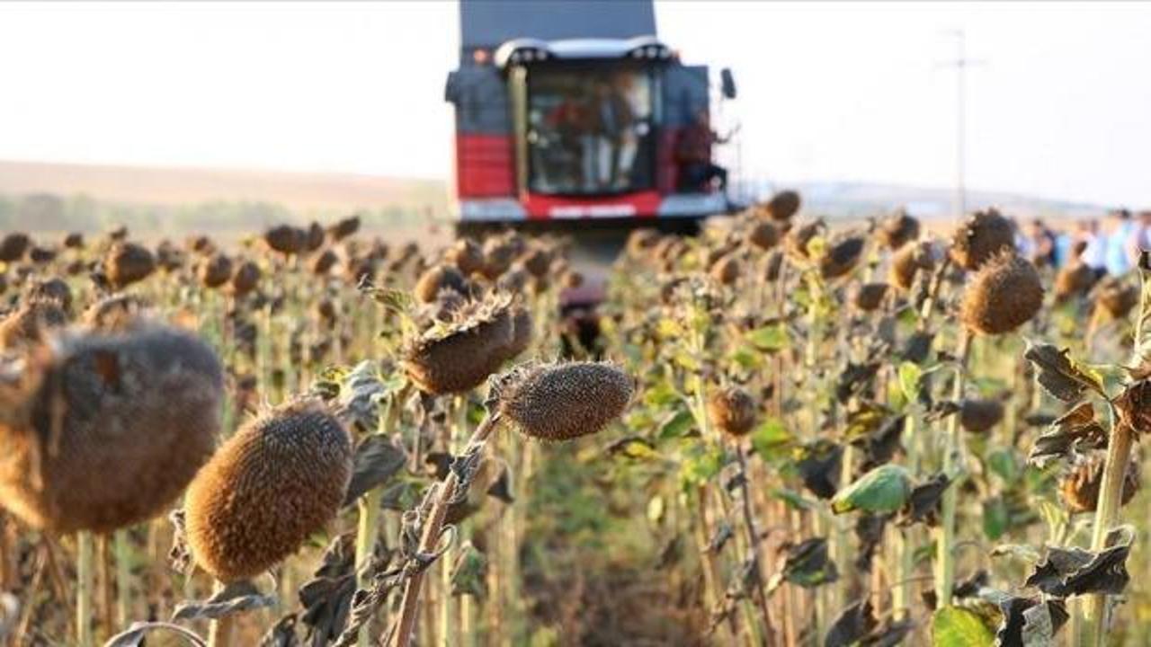 Tohum üreticileri, dış pazarda söz sahibi olmak istiyor