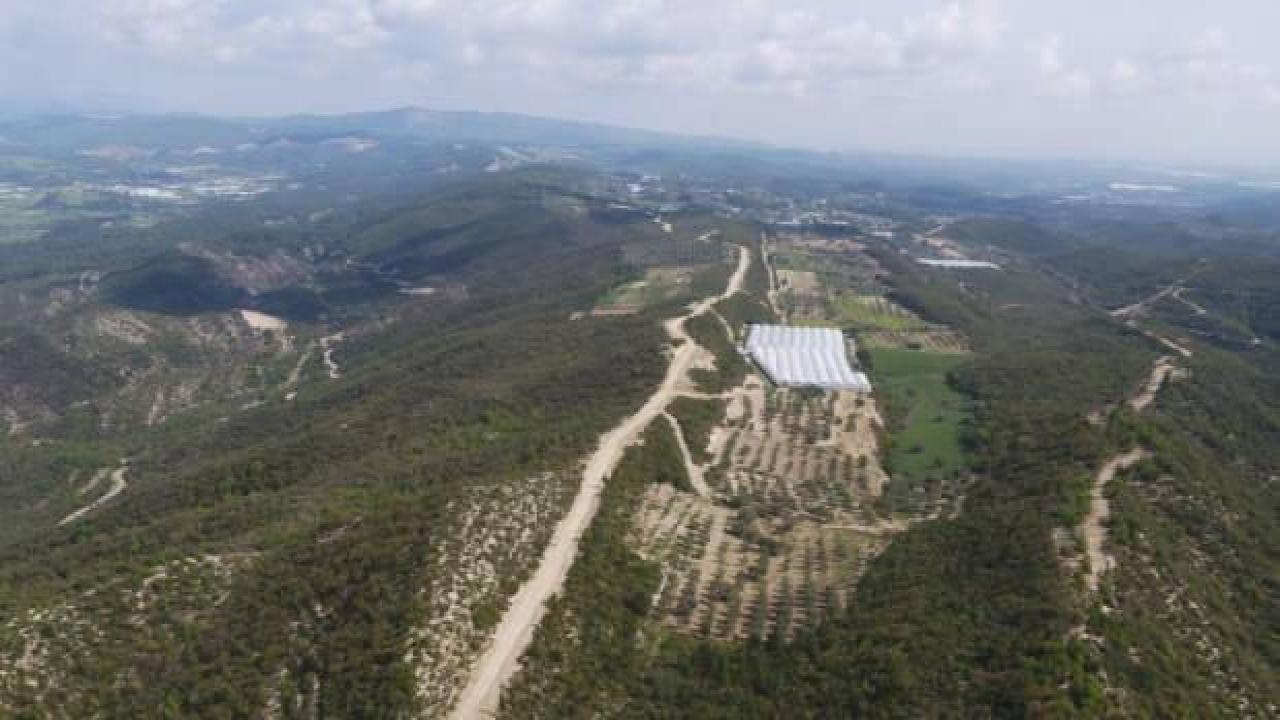 Toprakları suya kavuşan Manavgatlı çiftçinin yüzü güldü