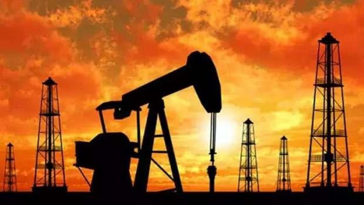 TPAO'nun üç petrol işletme ruhsatının süresi uzatıldı