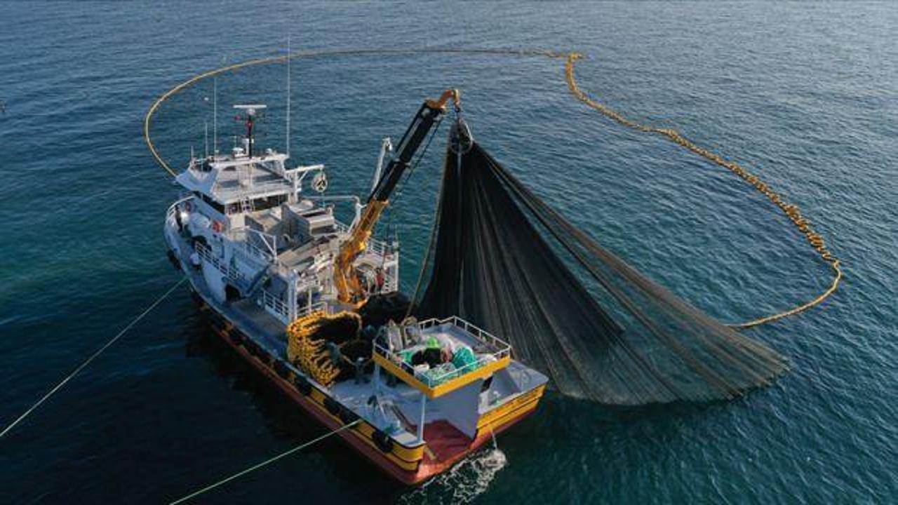 Trabzon'un su ürünleri ihracat geliri geçen yıl yüzde 21 arttı