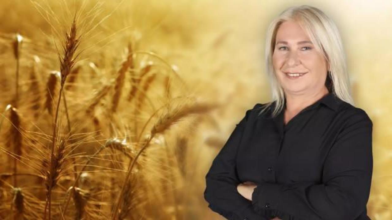 Tropikal meyveler nasıl yetiştiriliyor?