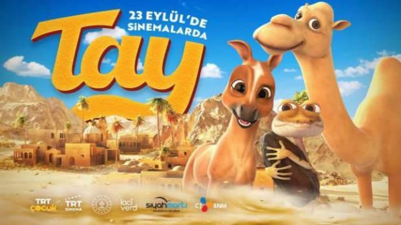 TRT ortak yapımı 