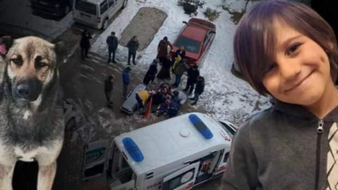 TSK'nın ardından polise de 'köpekli' iftira! Mete Durna'nın yakınları gerçeği açıkladı