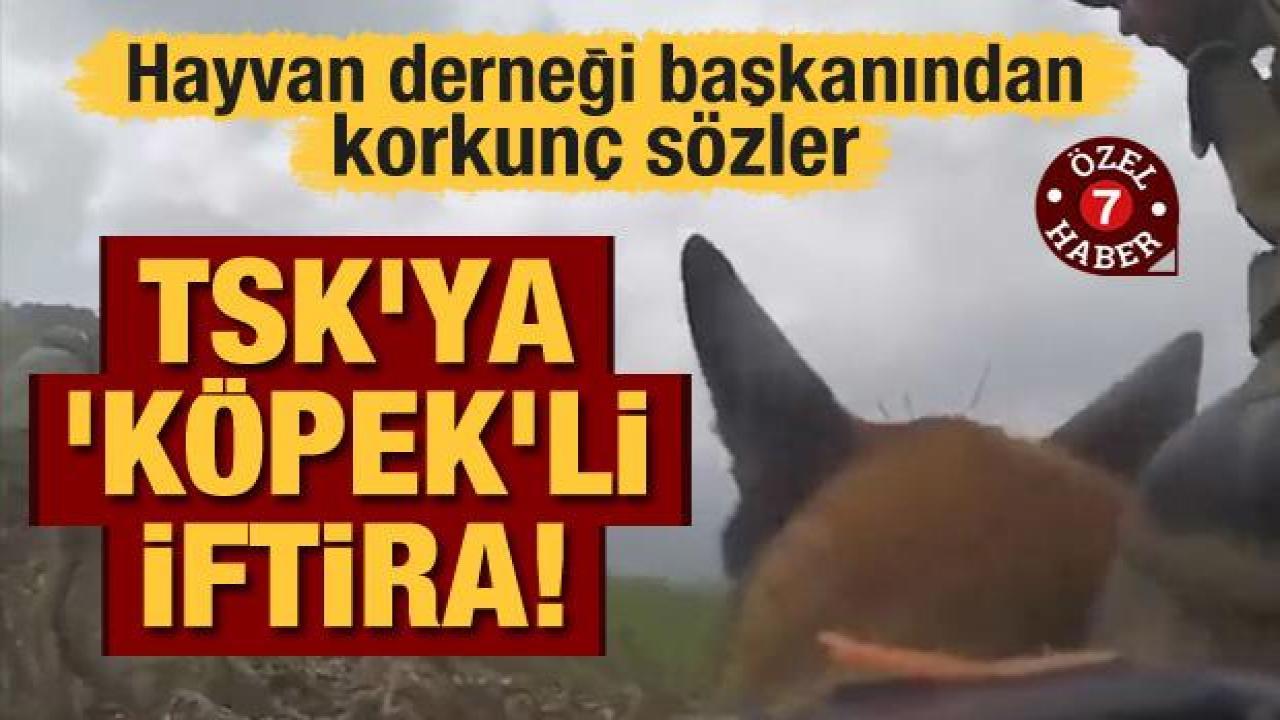 TSK'ya 'köpek'li iftira! Hayvan derneği başkanından korkunç sözler
