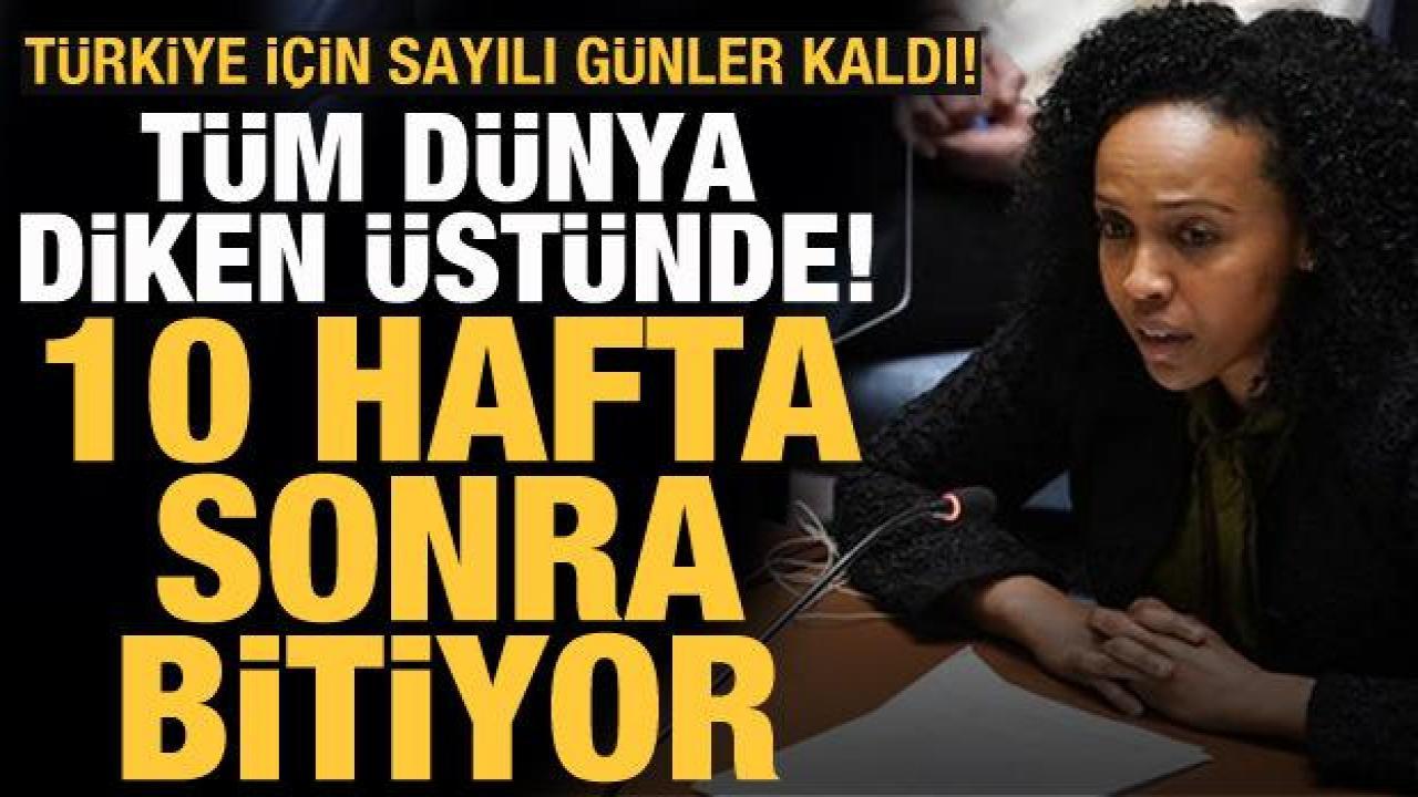 Tüm dünya diken üstünde! Buğday krizi kapıda, 10 hafta sonra bitiyor