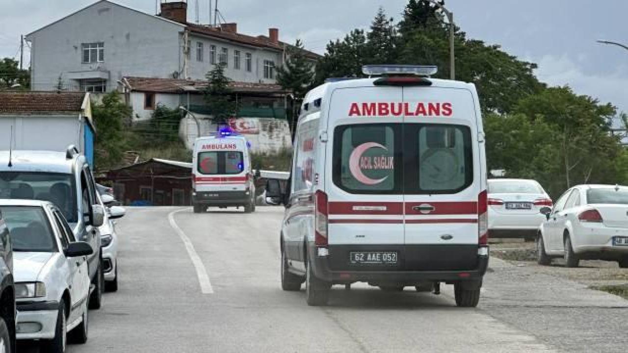 Tunceli’de topladıkları mantarları yiyen anne ve oğlu zehirlendi