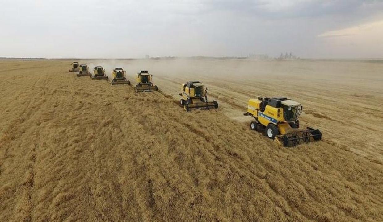 Türk çiftçisi Avrupa'dan sonra Çin ve ABD'yi de solladı