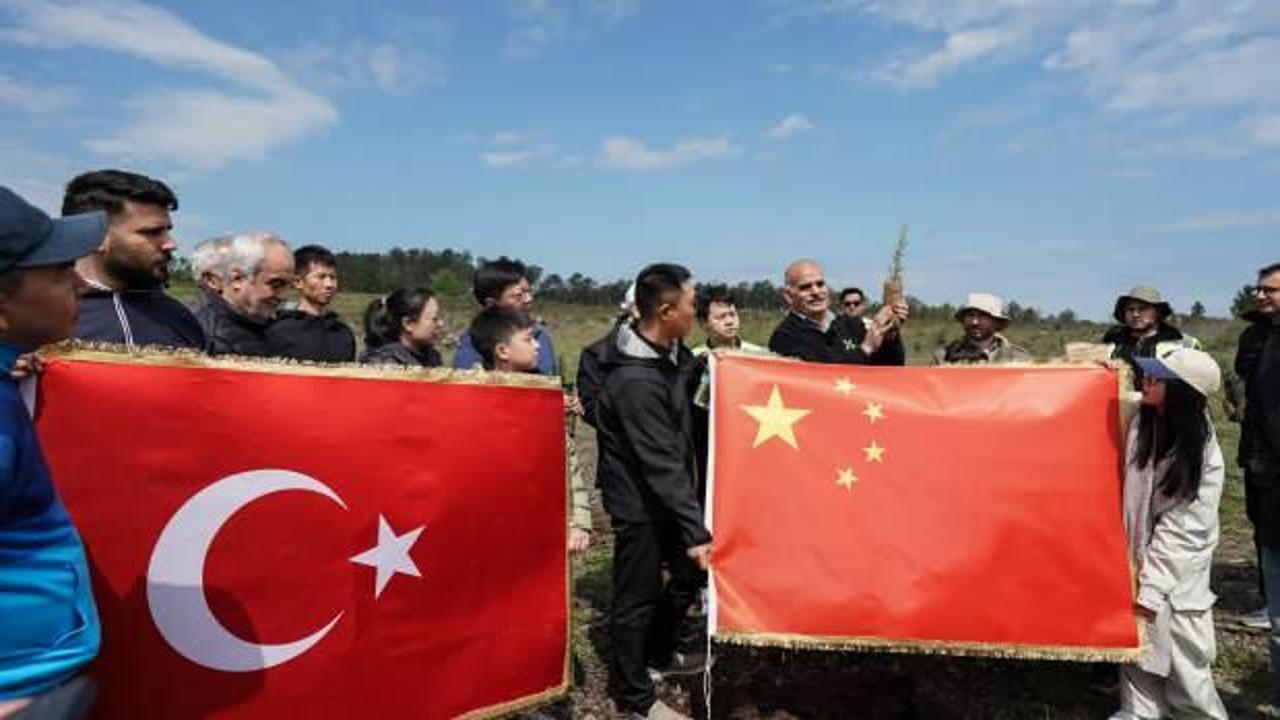 Türkiye-Çin dostluğunun sembolü 10 bin fidan toprakla buluştu
