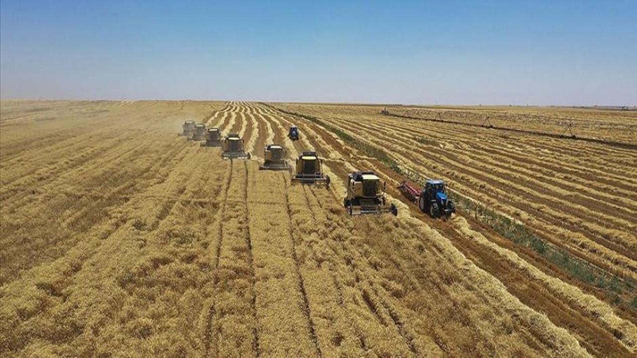 Türkiye ve Mısır arasında tarım alanında iş birliği