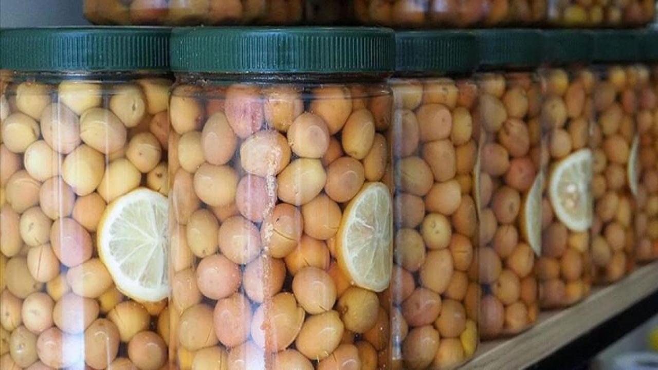 Türkiye zeytin ve zeytinyağında dünya ikincisi oldu