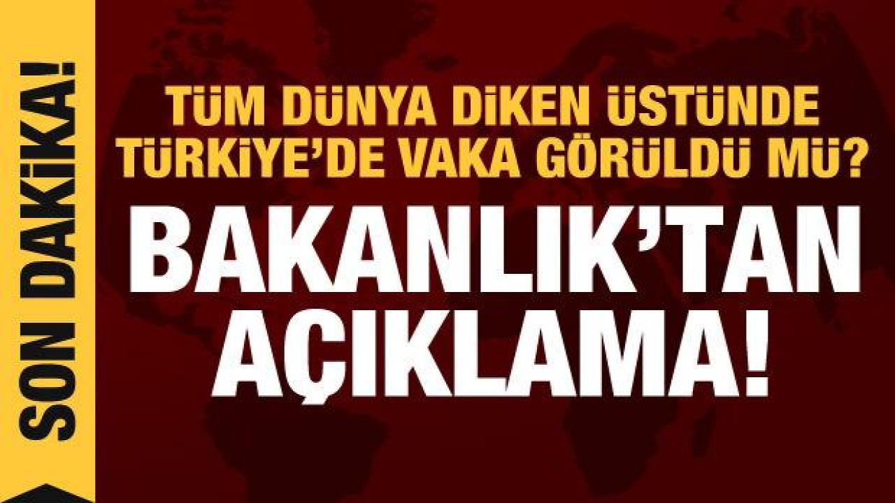 Türkiye'de maymun çiçeği görüldü mü? Sağlık Bakanlığı'ndan açıklama