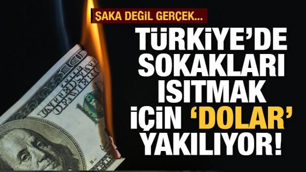 Türkiye'de sokakları ısıtmak için 'dolar' yakılıyor