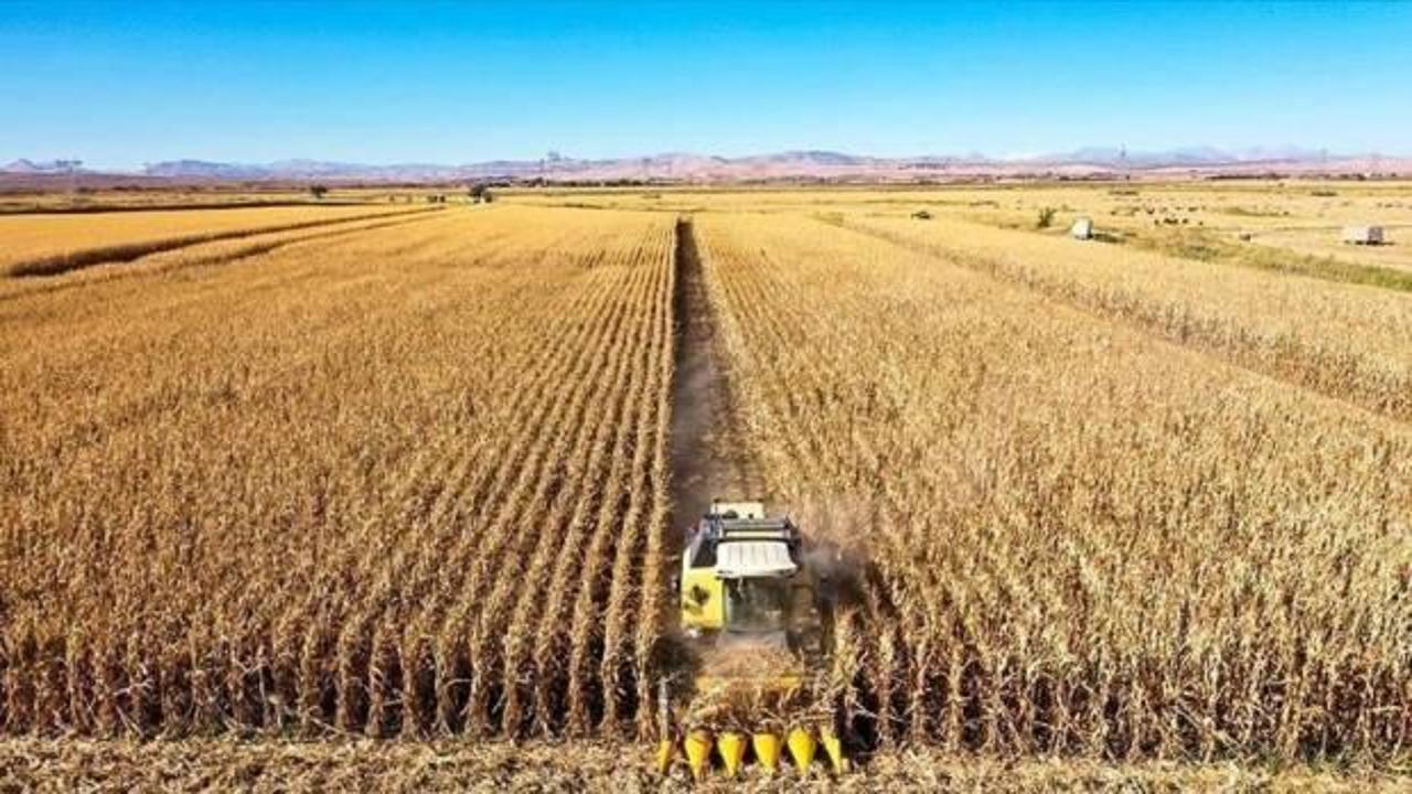 'Türkiye'de Tarıma Dayalı Sanayi'de Rekabet Gücünün Artırılması Projesi' faaliyeti başladı
