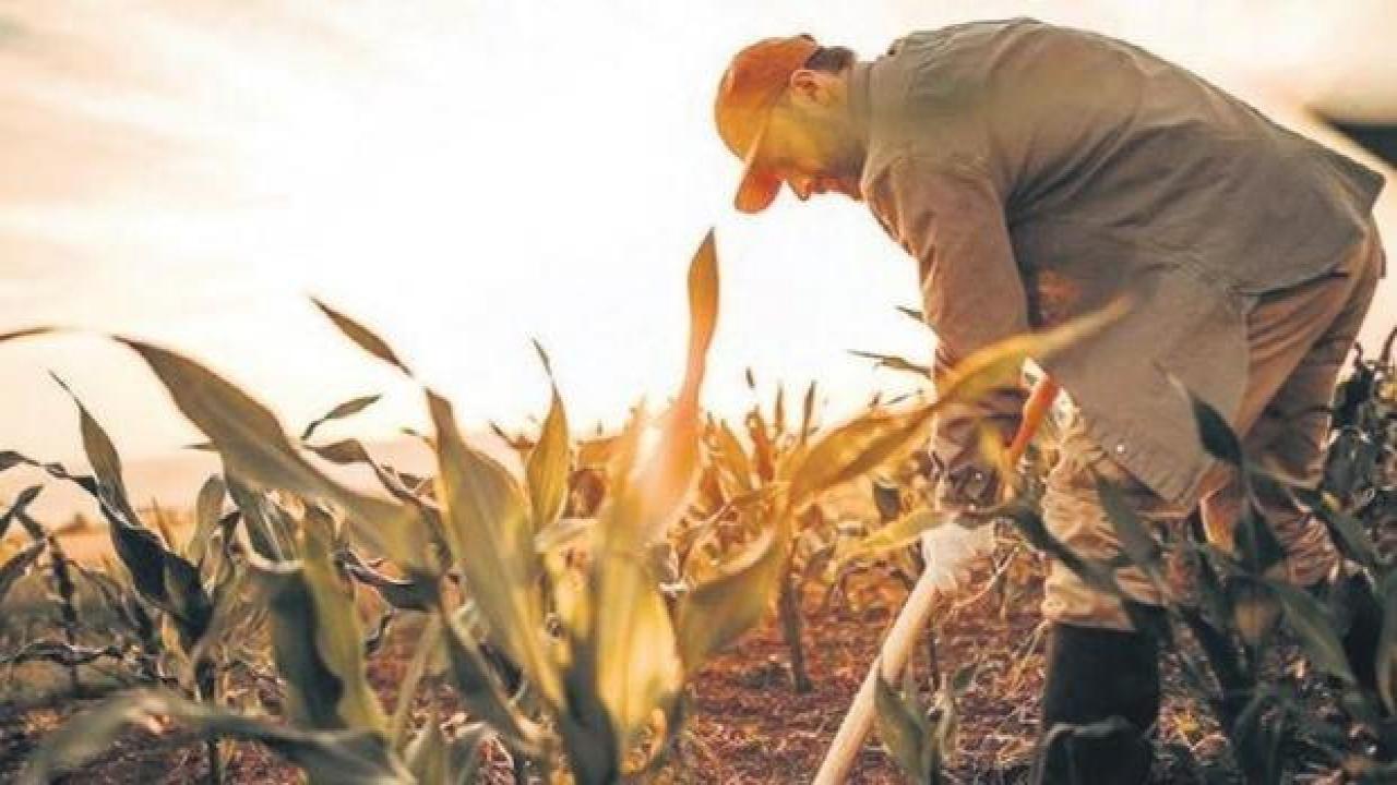 Türkiye’de üretim haritası değişiyor