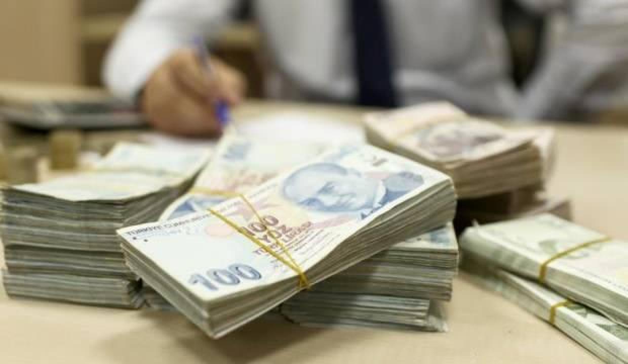 Türkiye'deki vergi mükelleflerinin sayıları arttı