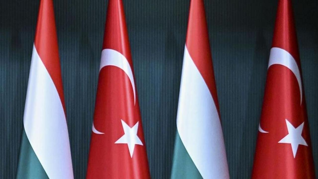 Türkiye'den Macaristan ile doğal gaz ve petrol görüşmesi