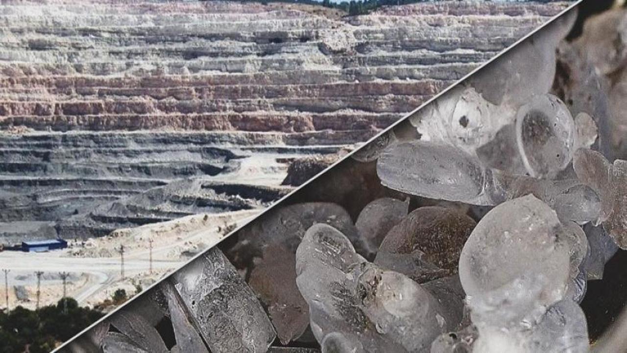 Türkiye'den müthiş hamle! Tonu 500 dolardan 35 bin dolara çıkacak