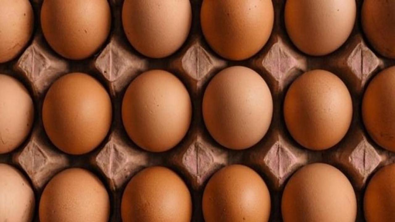 Türkiye'den Rusya'ya 19 tonluk yumurta