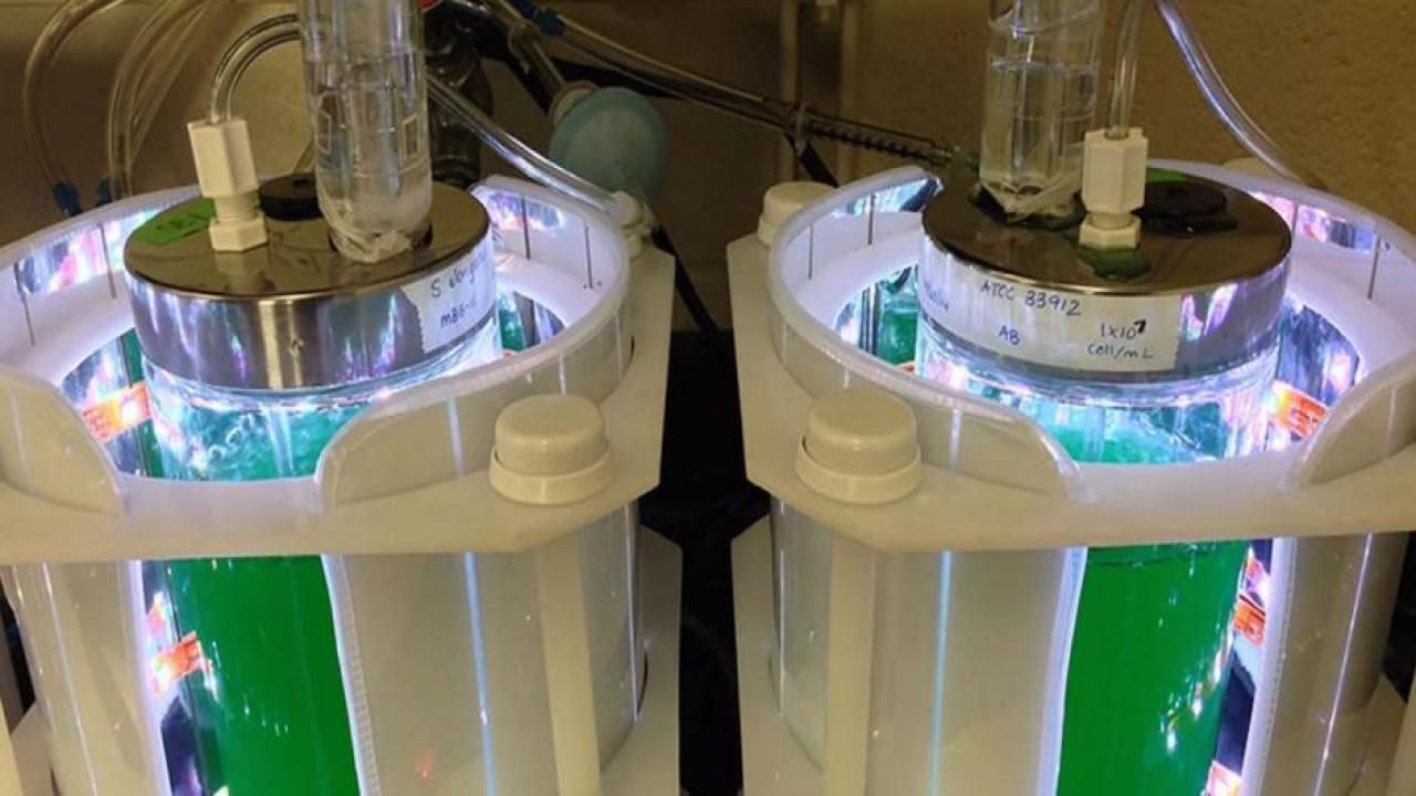 Türkiye'den ses getirecek jet yakıtı hamlesi! Petrolün yerine geçecek