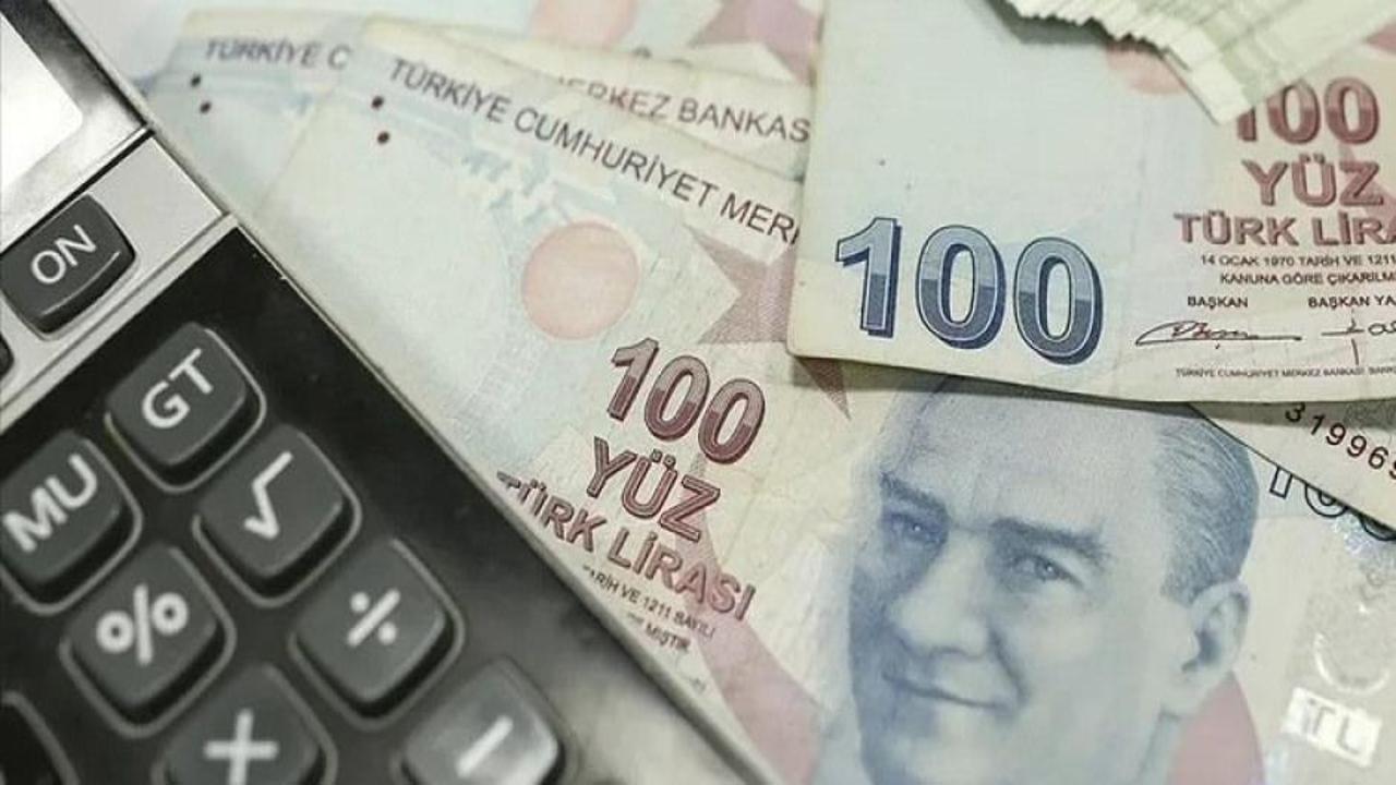 Türkiye'nin büyüme beklenti anketi sonuçlandı