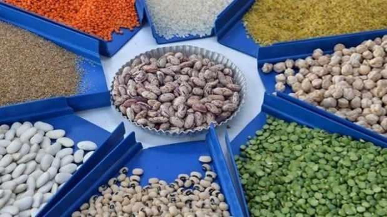 Türkiye'nin hububat ve bakliyat ihracatı 9,2 milyar doları buldu