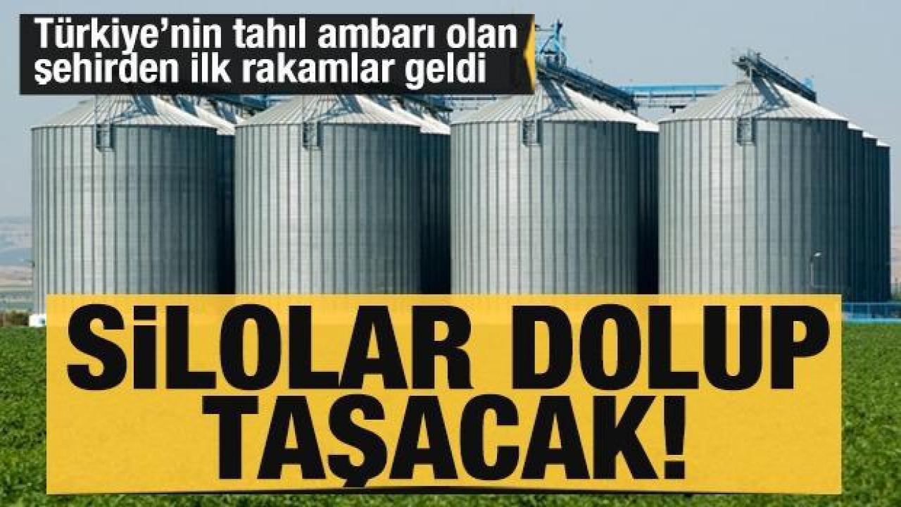 Türkiye'nin tahıl ambarından ilk rakamlar geldi: 2.2 milyon ton