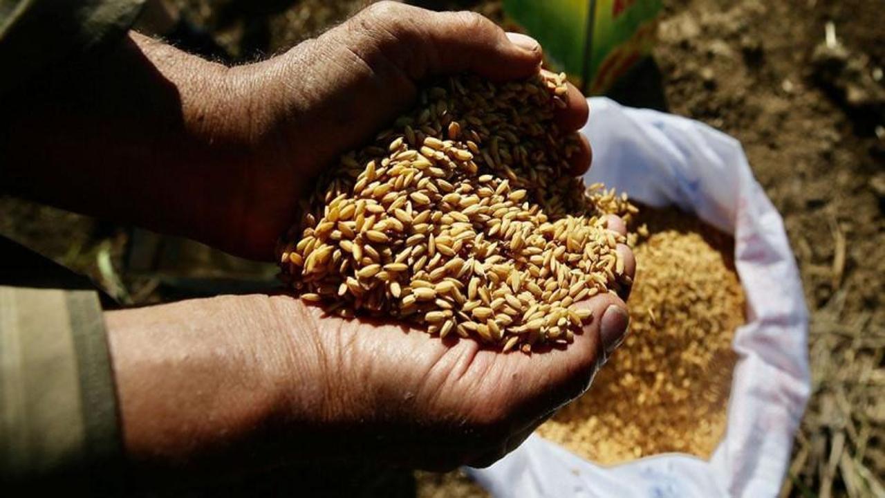 Türkiye'nin tohumda İsrail'e bağımlılığı yok