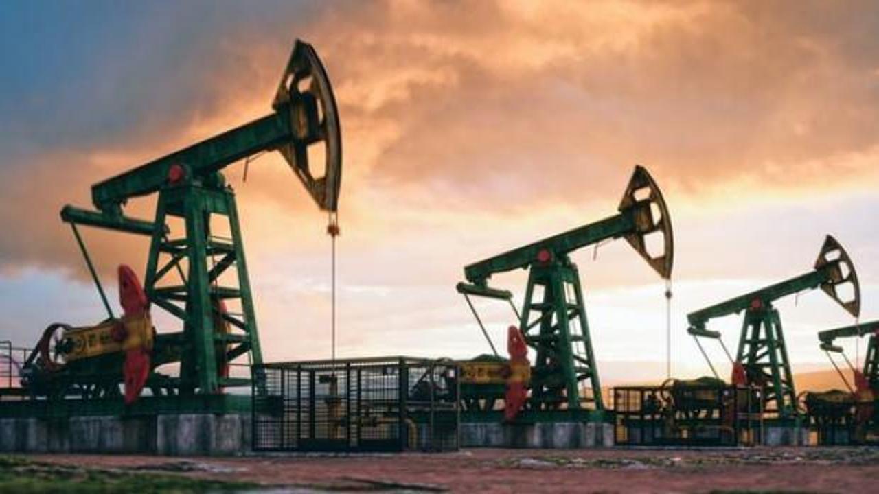Türkiye'ye petrol, altın ve elmas daveti!