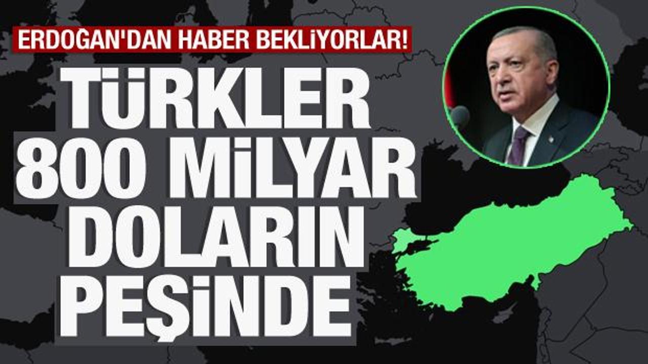 Türkler 800 milyar doların peşinde! Erdoğan'dan haber bekliyorlar