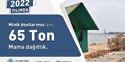 TUZLA BELEDİYESİ 2022 YILINDA MİNİK DOSTLAR İÇİN 65 TON MAMA DAĞITTI