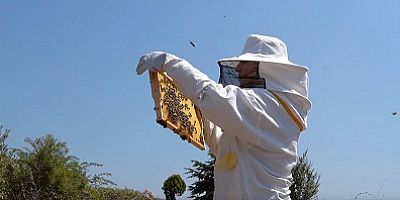 Tuzla’da Arıcılık Kursu’nu tamamlayan 40 kursiyer sertifika almaya hak kazandı 