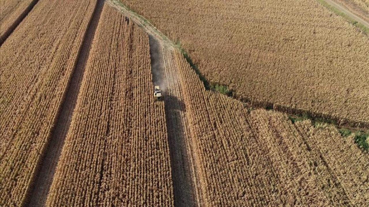 TZOB Genel Başkanı Bayraktar, gençlerin tarıma yönlendirilmesi için çağrıda bulundu