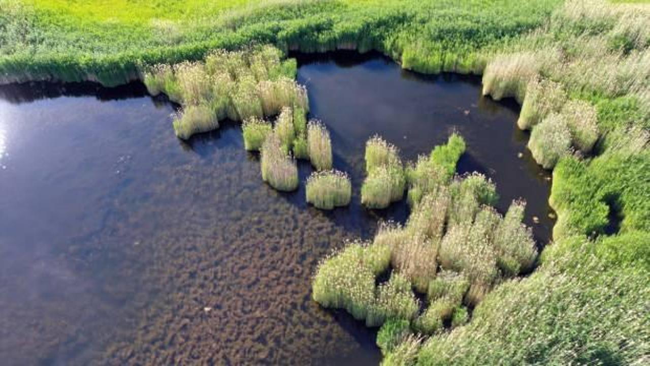 Üçkaya Gölü'nün turizme kazandırılması için çalışma başlatıldı