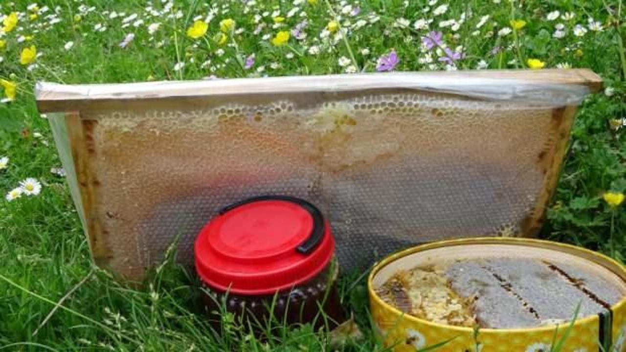 Ucuz bala dikkat! 1 kilo balın arıcıya maliyeti açıklandı