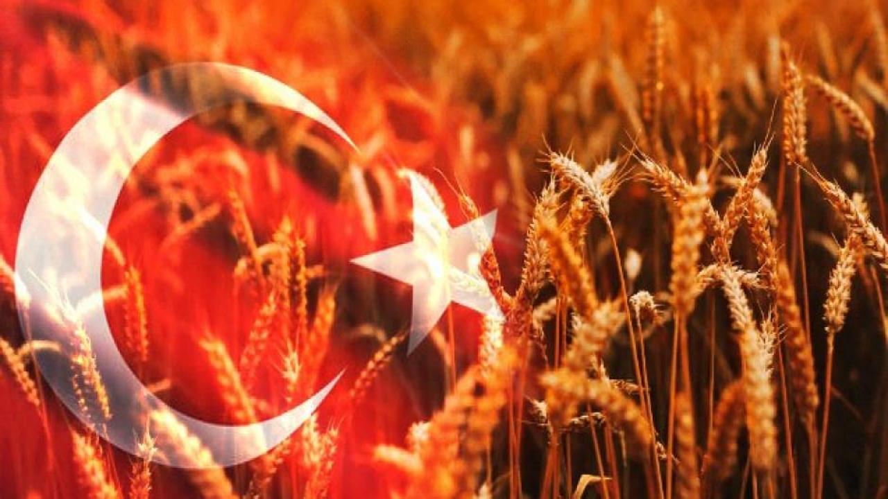 Ukrayna tahılında Türkiye'ye indirim mi yapıldı? BM'den açıklama geldi