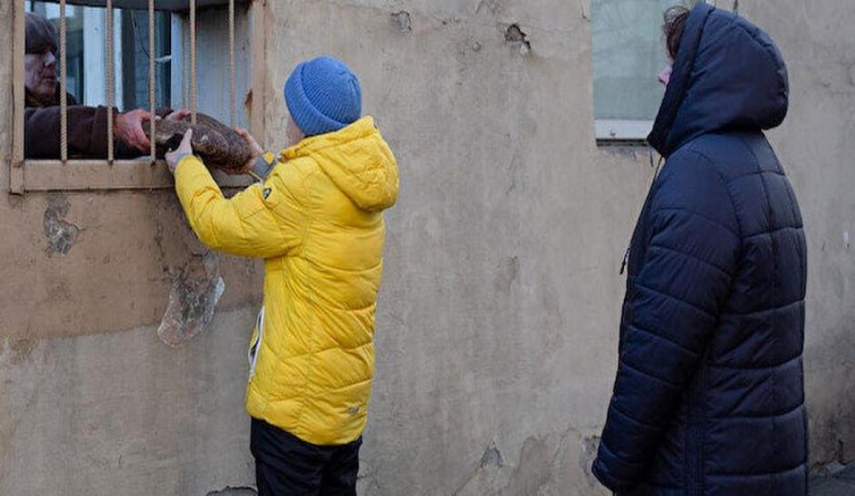 Ukrayna'da gıda kıtlığı riski: Bazı ürünlerin ihracatı askıya alındı