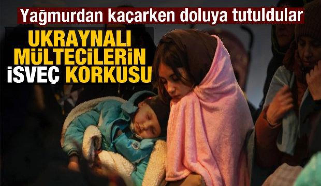 Ukraynalı mülteciler, İsveç'in çocuklarını ellerinden almasından korkuyorlar