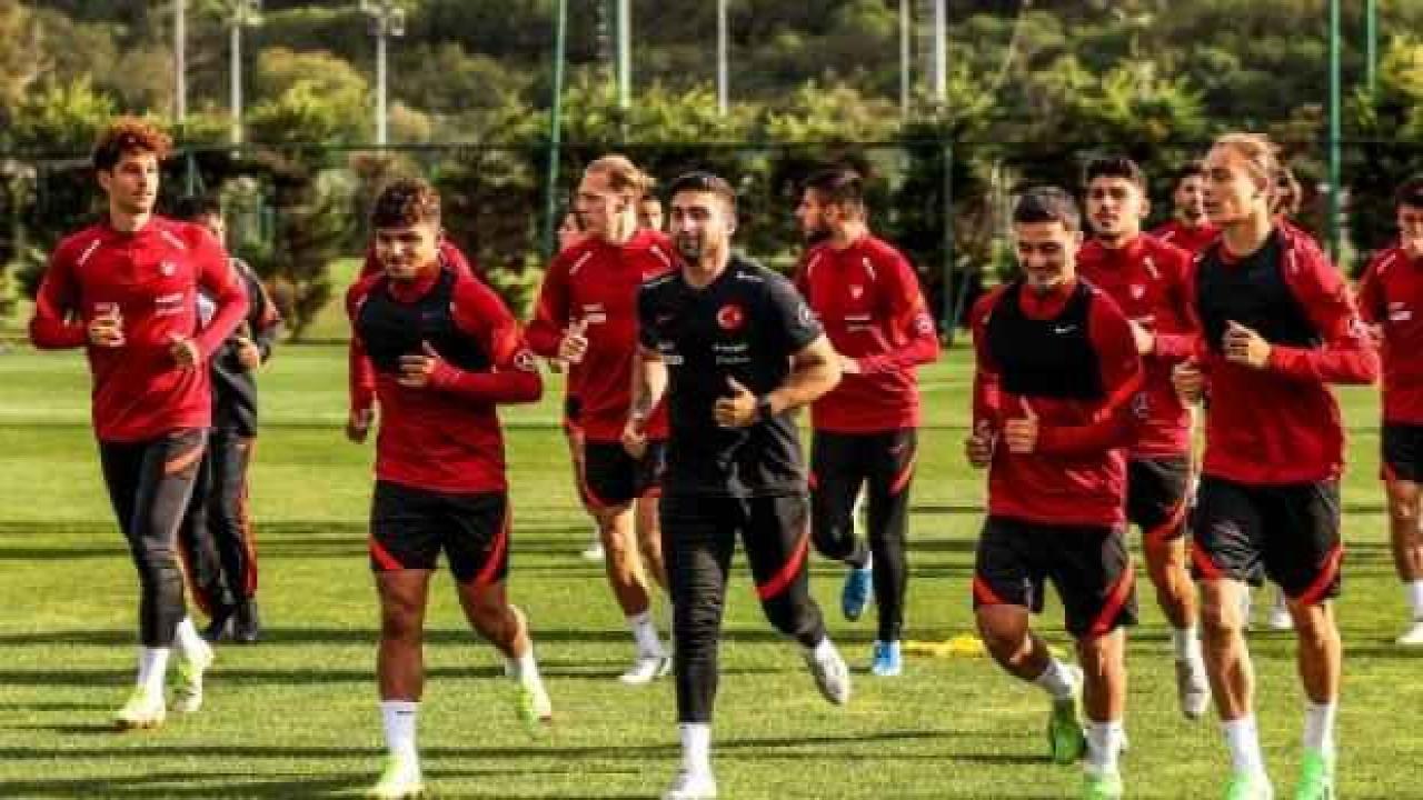 Ümit Milliler, Gürcistan'ı ağırlayacak