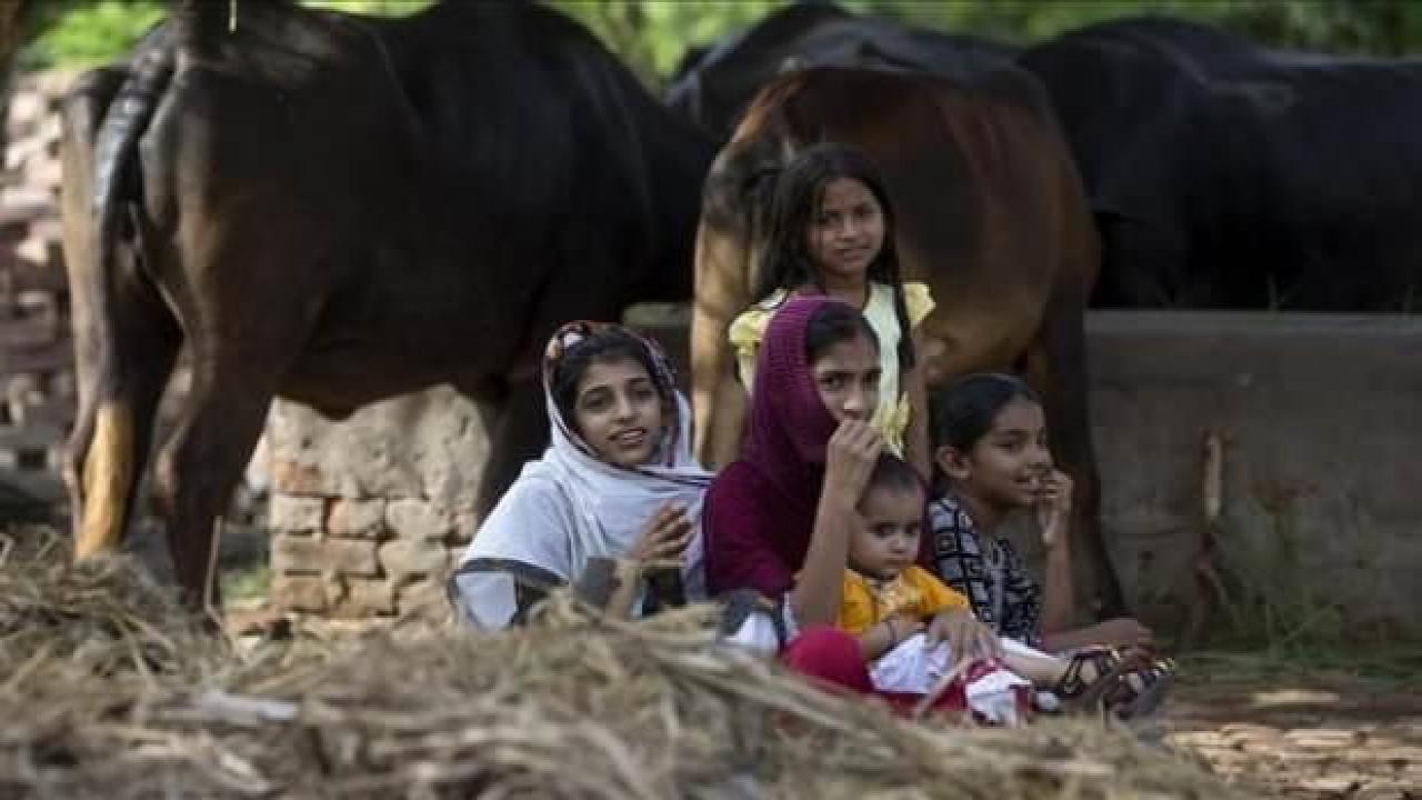 UNICEF: Pakistan'da 10 milyon çocuğun acil yardıma ihtiyacı var
