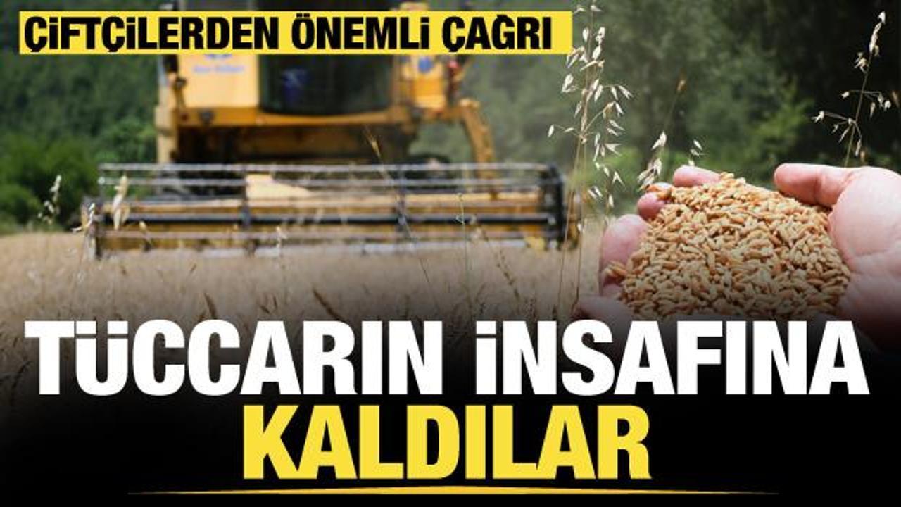 Üreticiler buğdayda tüccarın insafına kaldı