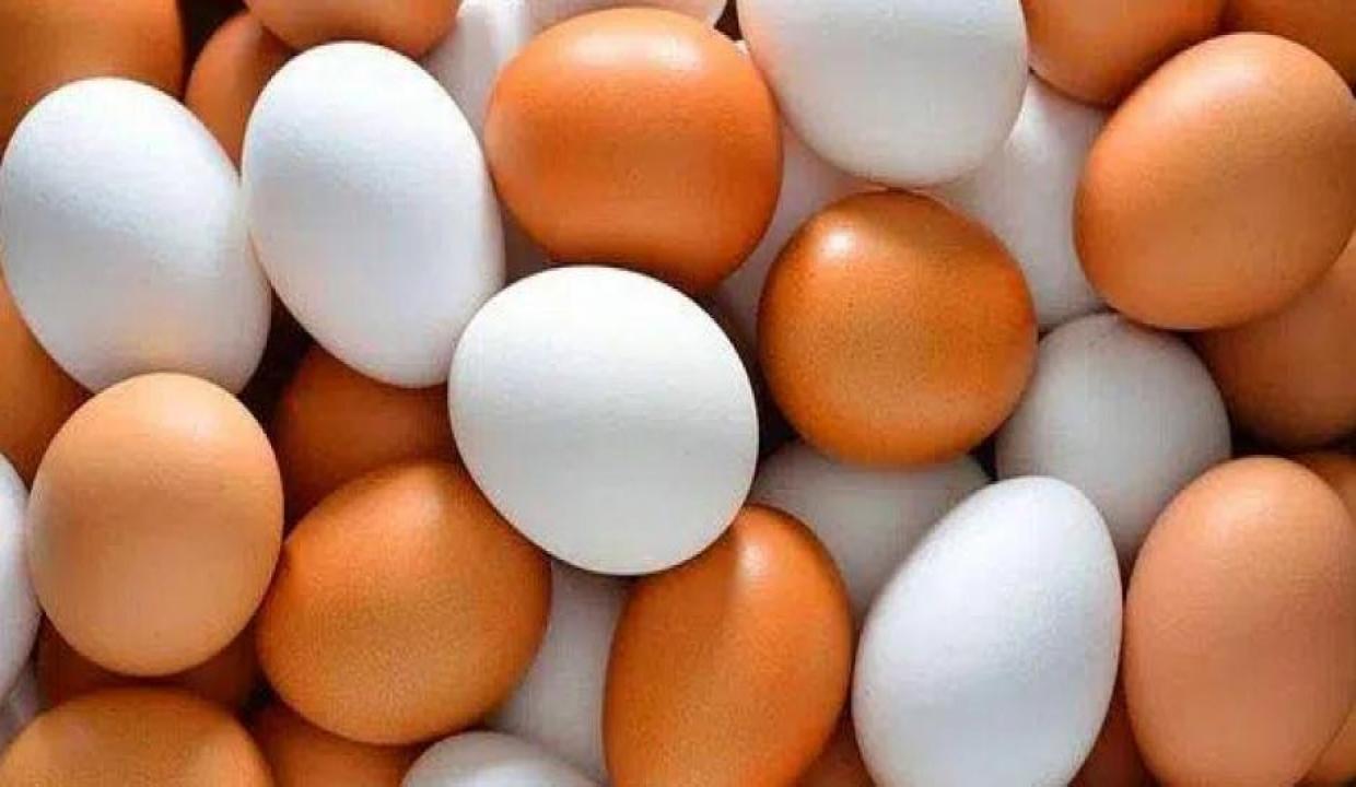 Üreticilerden yumurta fiyatı uyarısı