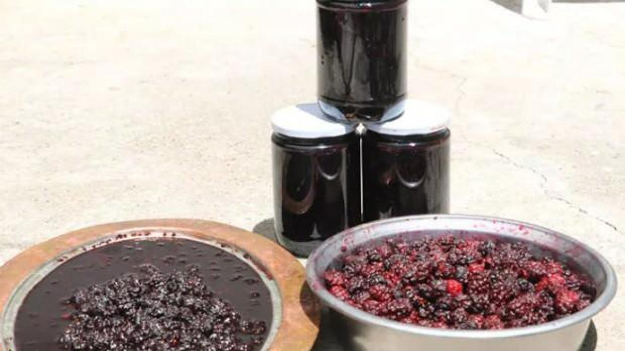 Urmu dutu pekmezinin kilosu 600 lira