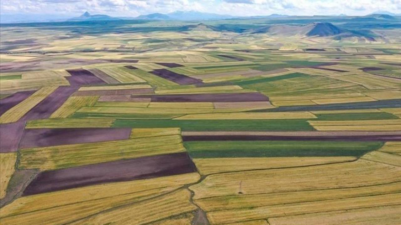 Uzmanlar arsa ve tarla alırken dikkat edilmesi gerekenleri açıkladı
